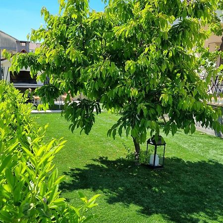 Luxa 5 Min Old Town, 10 Min Airport Apartment Трогир Екстериор снимка